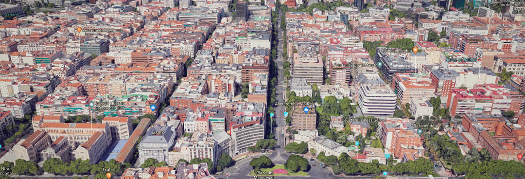 Calle de Ortega y Gasset dirección oeste - Tipos de calle en Madrid - Lujo
